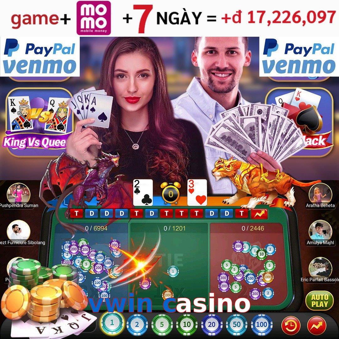 vwin casino